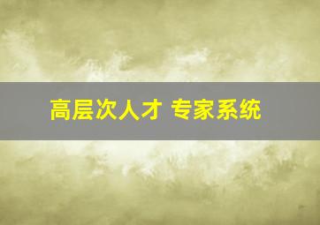 高层次人才 专家系统